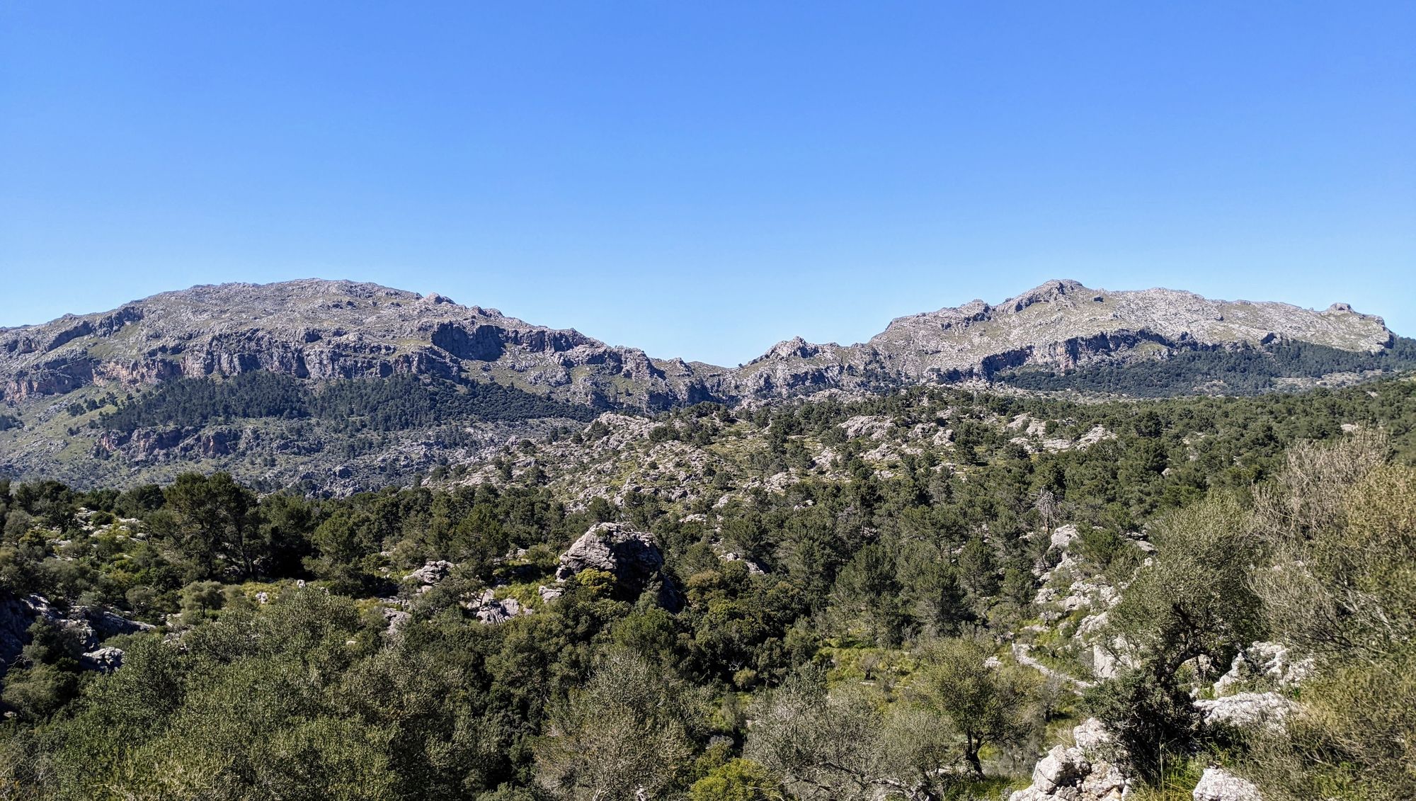 Rock Climbing Mallorca: Pixarells - Tramuntana Bouldering